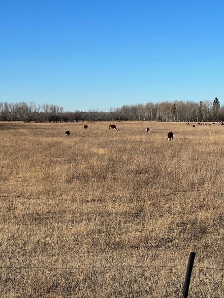 SE-32-71-5-W6, Grande Prairie, AB à vendre - Autre – Image 3 sur 5