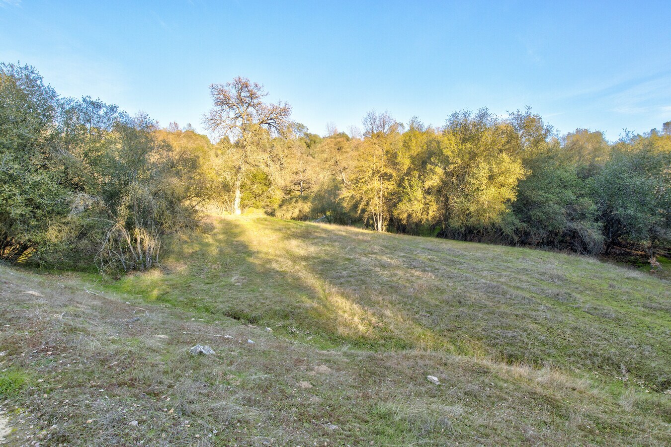 View Photo