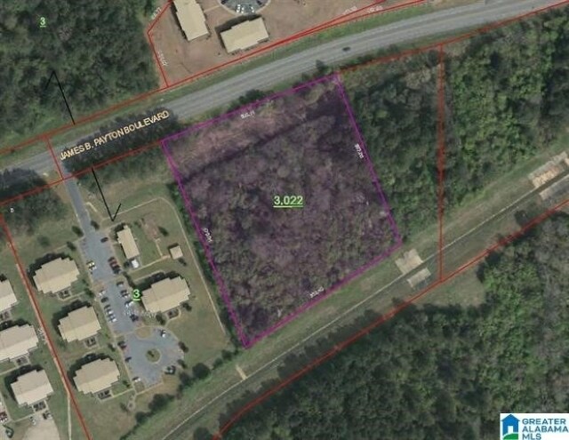 0 James Payton Blvd, Sylacauga, AL à vendre - Photo principale – Image 1 sur 3