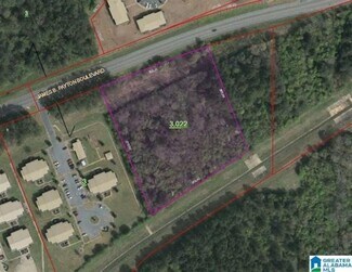 Plus de détails pour 0 James Payton Blvd, Sylacauga, AL - Terrain à vendre