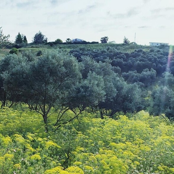 Lugar Polígono 32, 30, Cártama, Málaga à vendre - Aérien – Image 1 sur 12