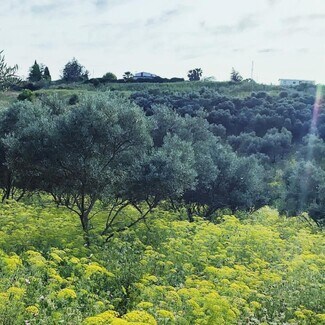 Plus de détails pour Lugar Polígono 32, 30, Cártama - Terrain à vendre