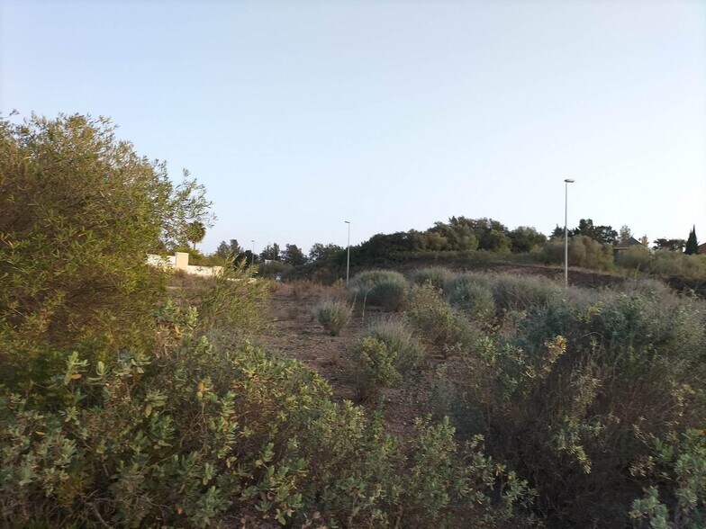 Terrain dans Jerez de la Frontera, Cádiz à louer - Photo de l’immeuble – Image 3 sur 8