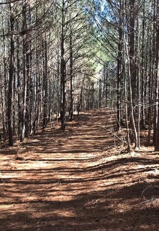 Plus de détails pour 0 S River Rd, Douglasville, GA - Terrain à vendre