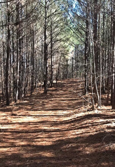 0 S River Rd, Douglasville, GA à vendre Photo de l’immeuble– Image 1 sur 12