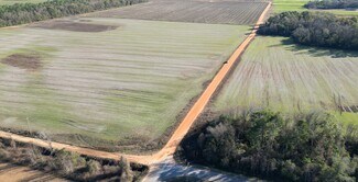 Plus de détails pour 0 Wiggins Road, Frisco City, AL - Terrain à vendre