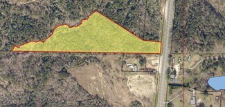 Plus de détails pour 5177 US 231 hwy, Brundidge, AL - Terrain à vendre