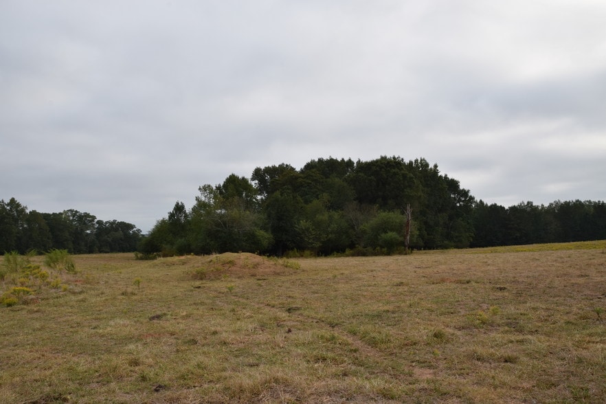 Spears Rd, Mansfield, GA à vendre - Autre – Image 3 sur 5