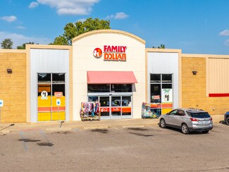 Plus de détails pour 8883 Monroe Rd, Durand, MI - Local commercial à vendre