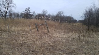 Plus de détails pour 136XX W Freeway Dr NE, Columbus, MN - Terrain à vendre