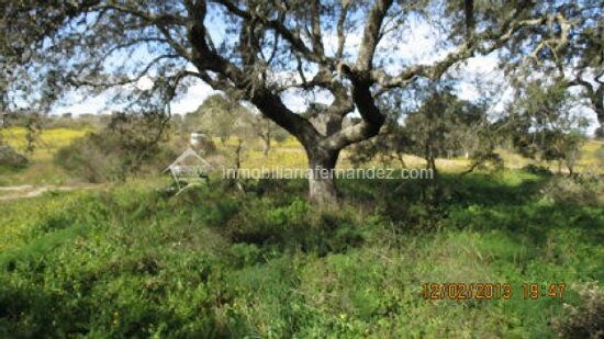 Terrain dans Cáceres, Cáceres à vendre - Photo principale – Image 2 sur 11