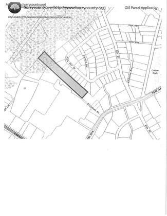 Plus de détails pour 16th Ave & Elizabeth St, Conway, SC - Terrain à vendre