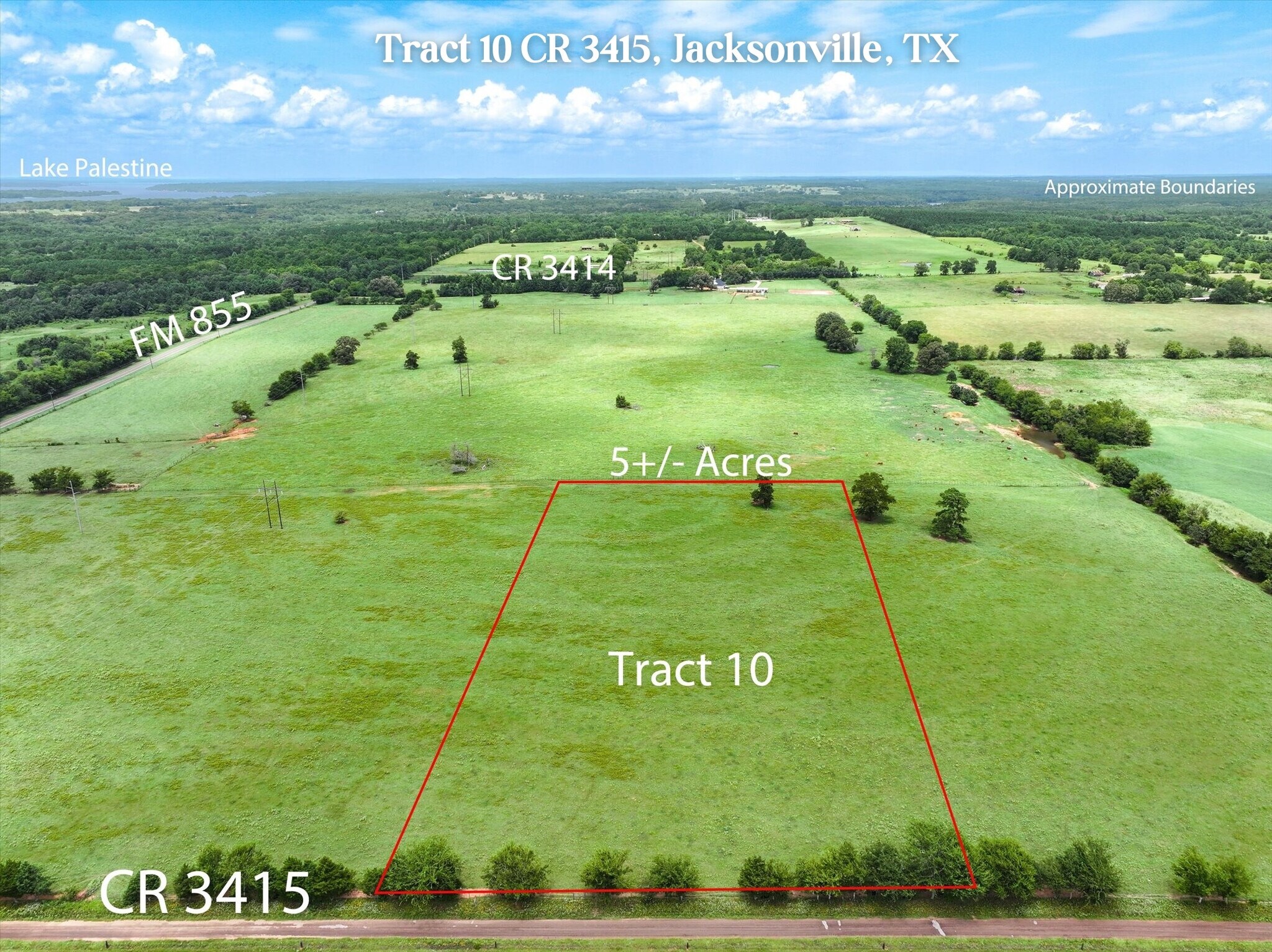 Tract 10 County Road 3415, Jacksonville, TX à vendre Photo principale– Image 1 sur 15
