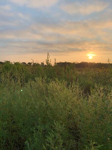 CR4110 CR 4110, Blooming Grove, TX à vendre - Photo principale – Image 1 sur 3