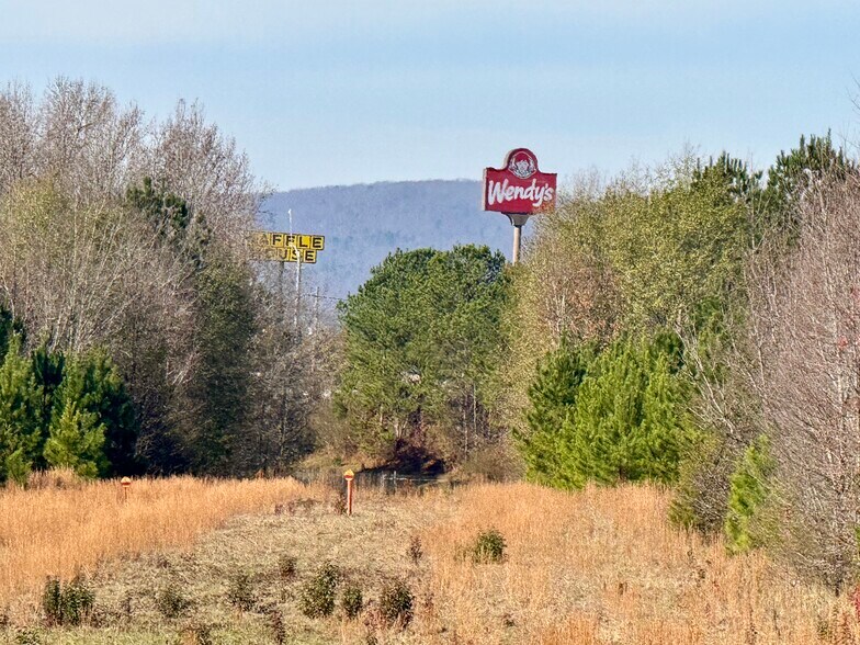 HWY 78 EAST, Oxford, AL à vendre - Photo de l’immeuble – Image 3 sur 16