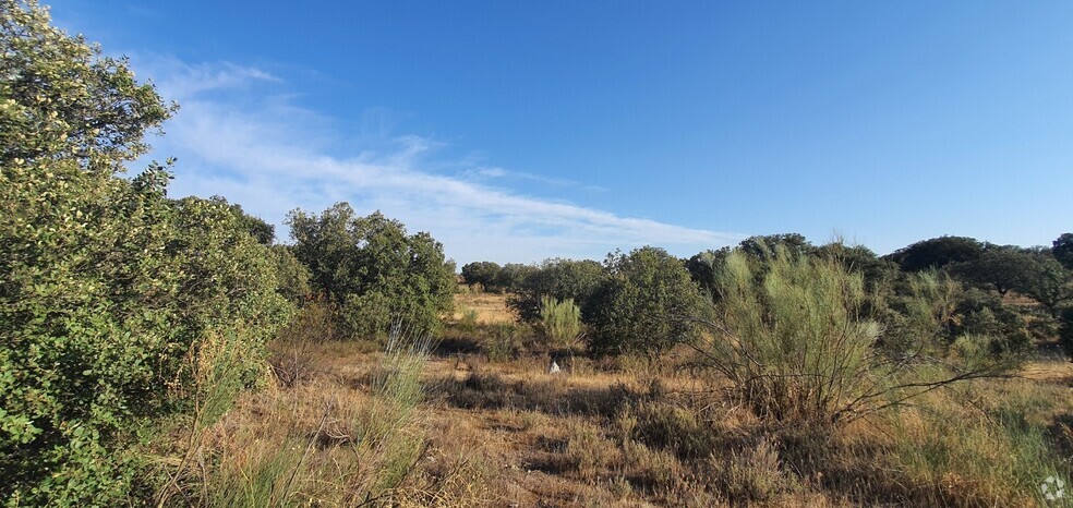 Terrain dans Hormigos, Toledo à vendre - Photo de l’immeuble – Image 3 sur 18