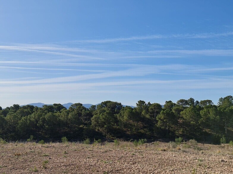 Terrain dans Yecla, Murcia à vendre - Photo principale – Image 2 sur 15