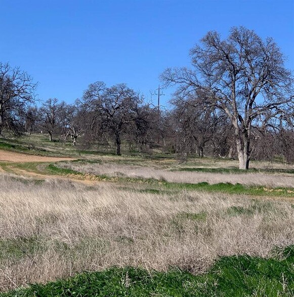 34 Acres Monroe Ave, Red Bluff, CA à vendre - Photo de la construction – Image 3 sur 3