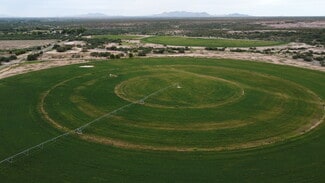 Plus de détails pour Curtis Rd,, Saint David, AZ - Terrain à vendre