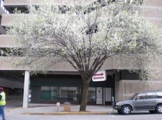 Plus de détails pour 1237 Washington St, Columbia, SC - Local commercial à louer