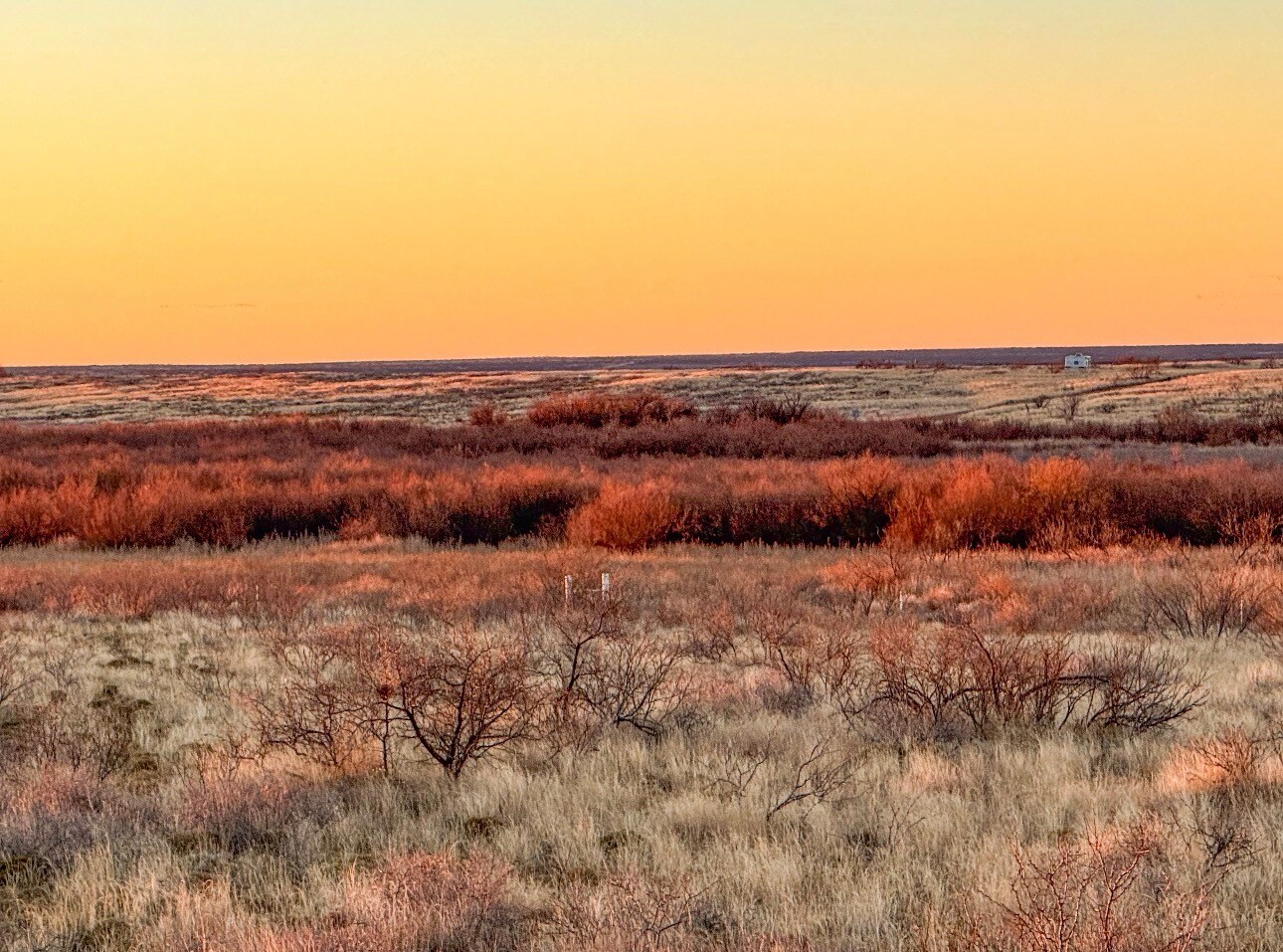 SW Corner of 380 & County Road 595 hwy, Brownfield, TX à vendre Photo de l’immeuble– Image 1 sur 46
