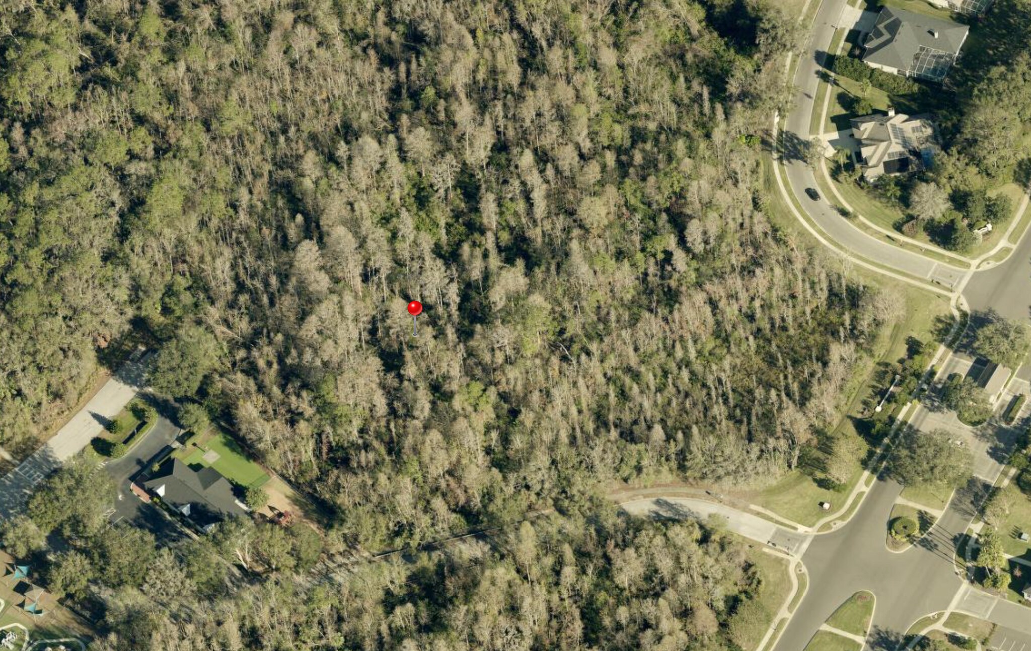 Lynx Paw Trail, Valrico, FL à louer Photo de l’immeuble– Image 1 sur 3