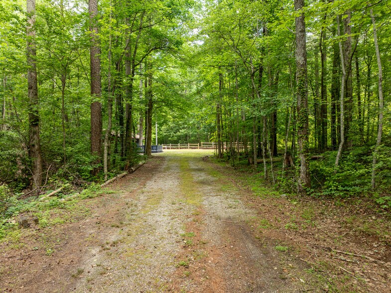 3573 GA-356 Hwy, Sautee Nacoochee, GA à vendre - Photo de l’immeuble – Image 3 sur 65