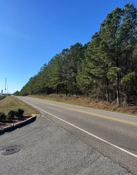 53 Acres On George Roy Pky, Calera, AL à vendre - Autre – Image 3 sur 10