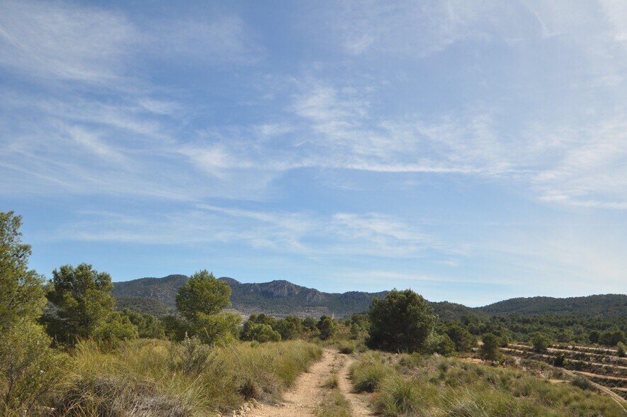 Terrain dans Jumilla, Murcia à vendre - Aérien – Image 3 sur 23
