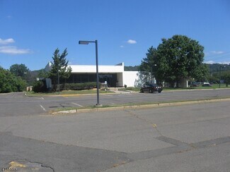 Plus de détails pour 227-229 Adamsville Rd, Bridgewater, NJ - Bureau à vendre