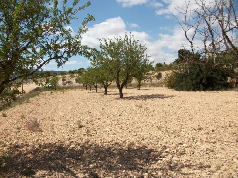 Terrain dans MONÒVER, Alicante à vendre - Plan de site – Image 3 sur 3