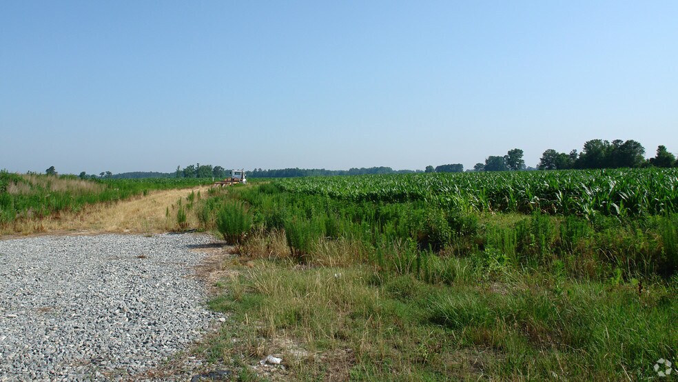 000 W NC Hwy 55, Mount Olive, NC à vendre - Photo principale – Image 1 sur 4