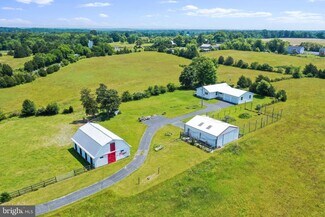 Plus de détails pour 253 Cheshire Rd, Bunker Hill, WV - Terrain à vendre