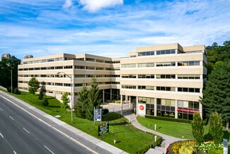 Plus de détails pour 4211 Yonge St, Toronto, ON - Bureau à louer