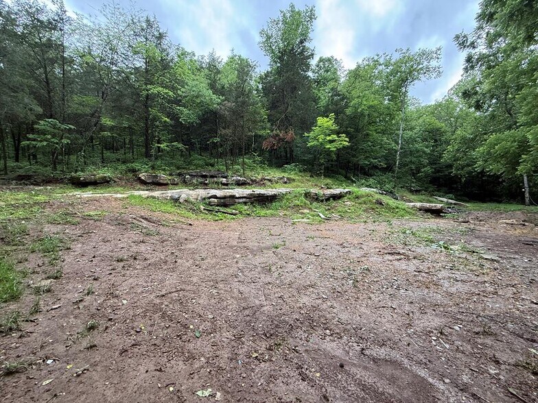 940 Riley Creek Rd, Whitleyville, TN à vendre - Photo de l’immeuble – Image 3 sur 7