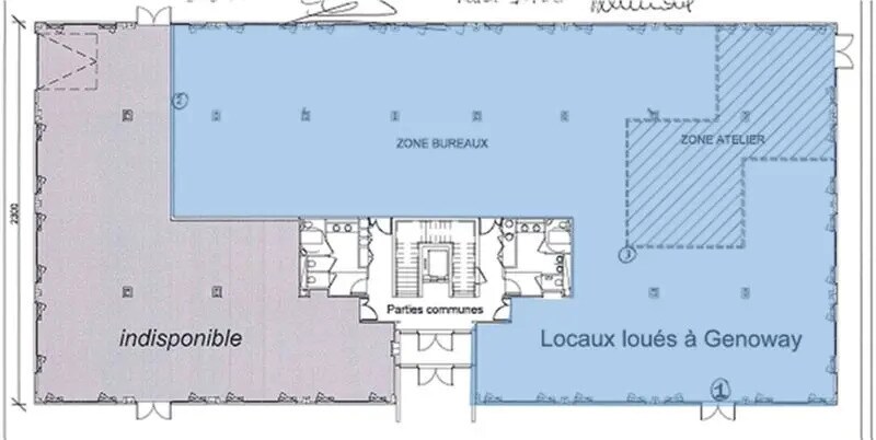 Bureau dans Lyon à louer - Plan d’étage – Image 3 sur 3