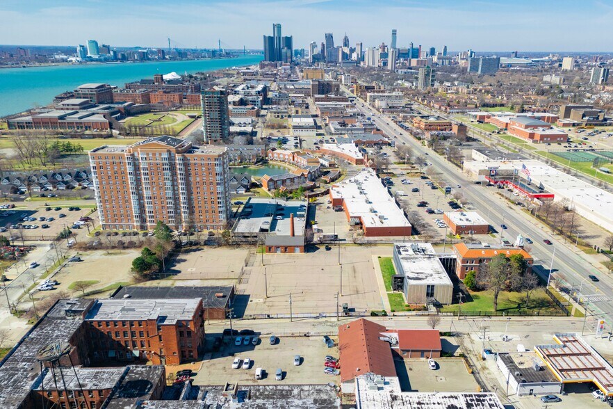 301 Mount Elliott St, Detroit, MI à vendre - Photo de l’immeuble – Image 2 sur 20