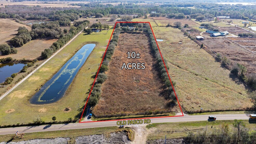 9224 Old Pasco Rd, Wesley Chapel, FL à vendre - Photo de l’immeuble – Image 2 sur 5