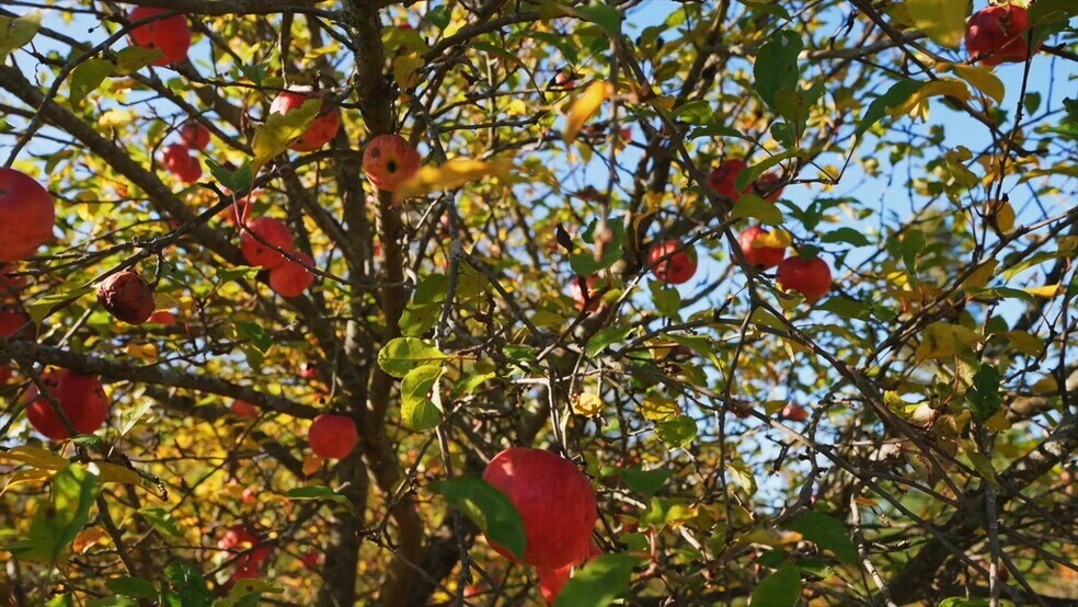 2441 7th Line, Port Hope, ON à vendre - Vidéo sur l’annonce professionnelle – Image 2 sur 17