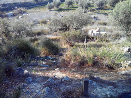Terrain dans Calasparra, Murcia à vendre - Plan de site – Image 2 sur 9