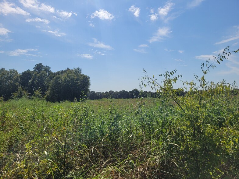 952 County Road 4135, Clarksville, TX à vendre - Photo de l’immeuble – Image 2 sur 12