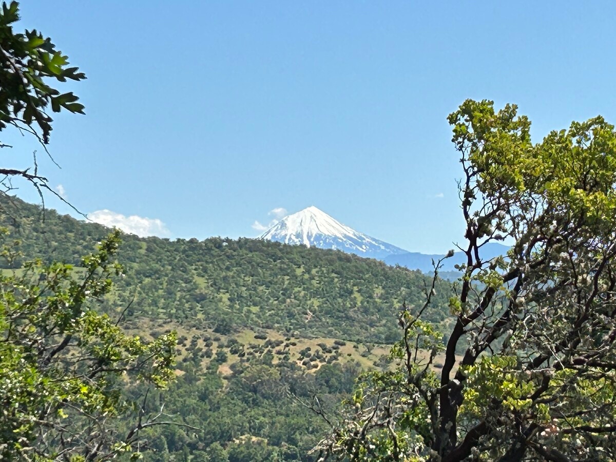 View Photo