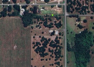 Plus de détails pour Old Bradenton Rd, Wauchula, FL - Terrain à vendre