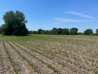 Plus de détails pour 6314 W Fauber Rd, Peoria, IL - Terrain à vendre