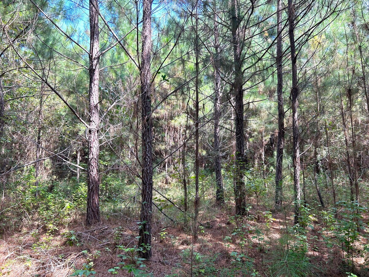 View Photo