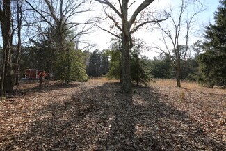 Plus de détails pour 176 Tuckerton Rd, Medford, NJ - Terrain à vendre