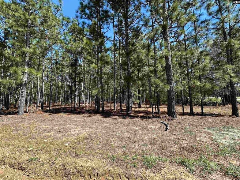 223 Mimosa Dr, Gaston, SC à vendre - Plan de site – Image 2 sur 2