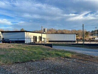 Plus de détails pour 4744 Singleton Station Rd, Louisville, TN - Industriel/Logistique à vendre