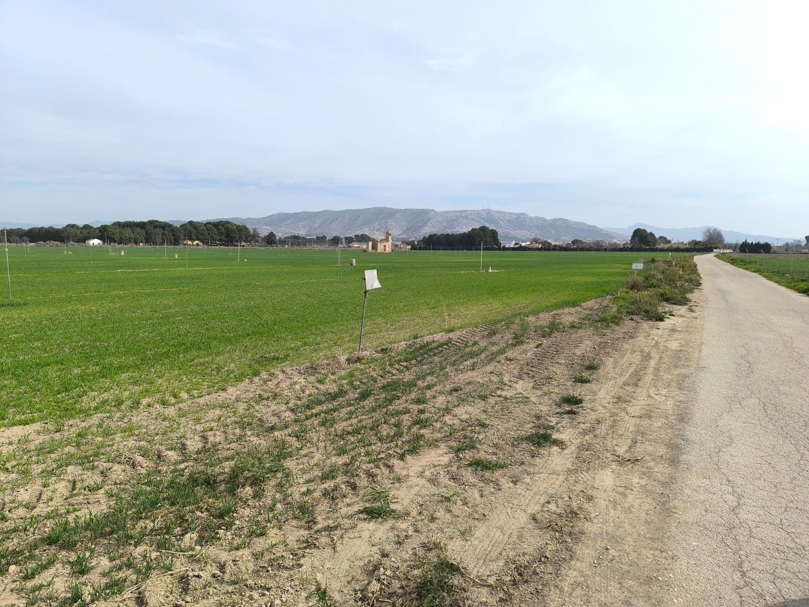 Terrain dans Villena, Alicante à vendre Plan de site– Image 1 sur 9