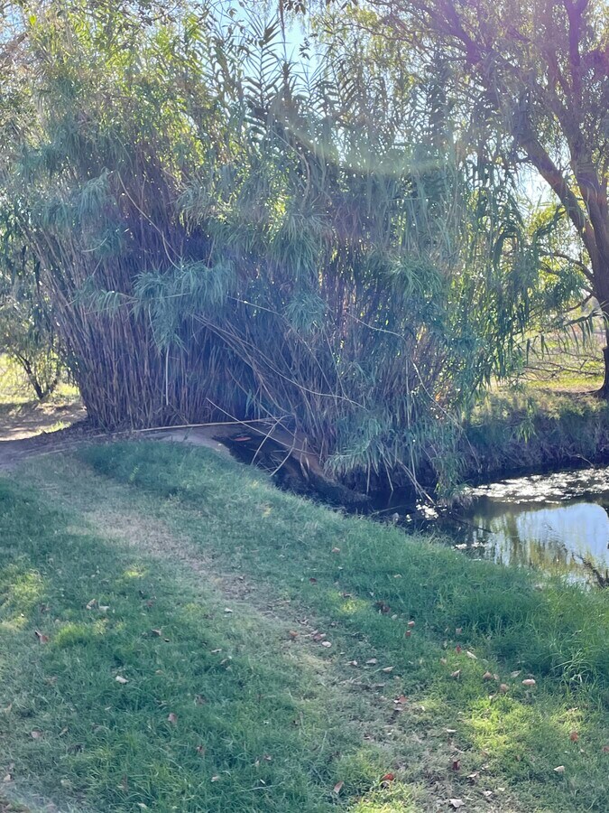 View Photo